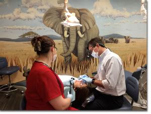 What Sets Petaluma Doctors Apart