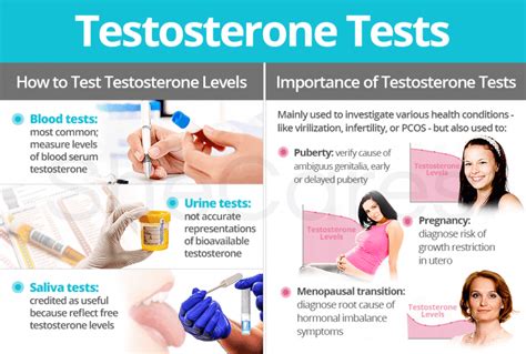 Why Check Testosterone Levels