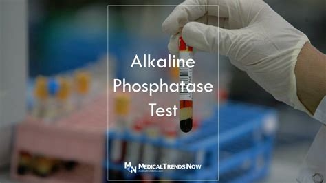 Why is the Alkaline Phosphatase Test Performed