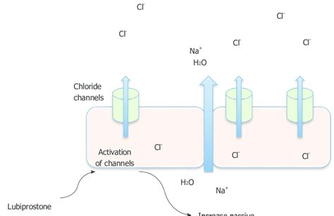 Working Mechanism of Lubiprostone