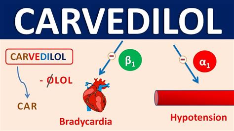 Working Mechanism of Carvedilol