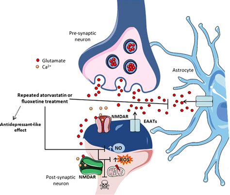 Working Mechanism of Fluoxetine