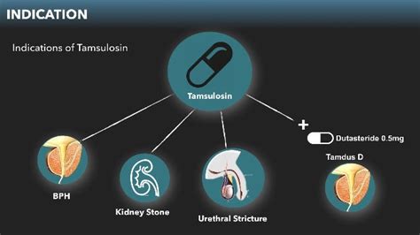 Working Mechanism of Tamsulosin 0.4 Mg