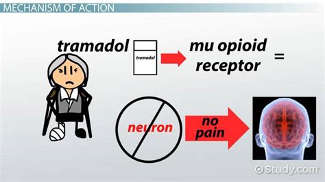 Working Mechanism of Tramadol 50mg