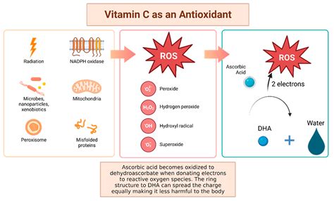 Working Mechanisms of IV Vitamin C