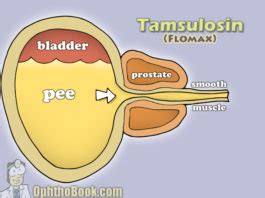 Working Mechanisms of Flomax