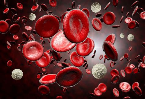 abnormal complete blood picture