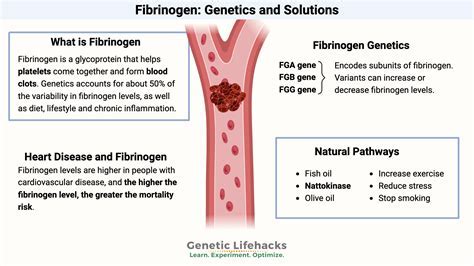 Abnormal fibrinogen levels diagram