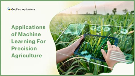 Agricultural Applications of Potassium Chloride