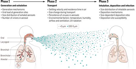 Airborne transmission of hand diseases
