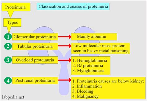 albuminuria