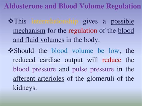Aldosterone and blood volume regulation