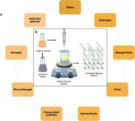 Applications of Alginate