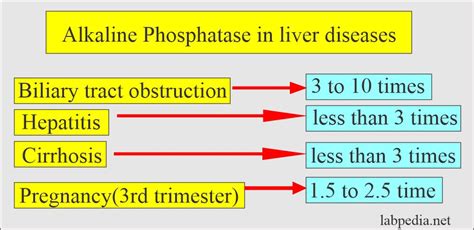 ALP Levels in Liver Diseases