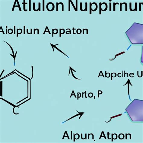allopurinol mechanism