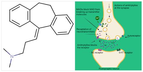 Amitriptyline Mechanism of Action