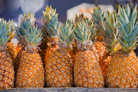 ananas fruit cancer prevention