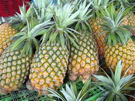 ananas fruit immune function