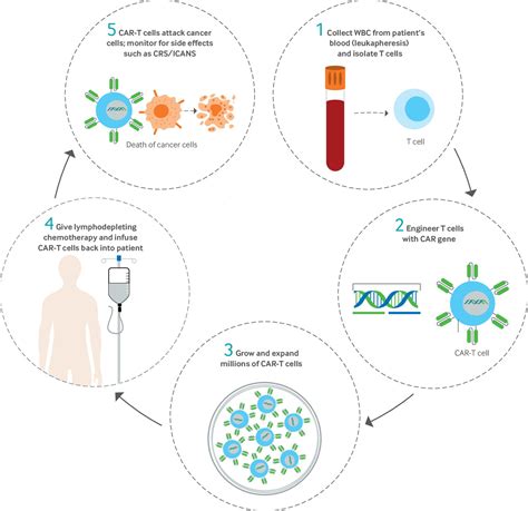 Applications of Antigen Tests