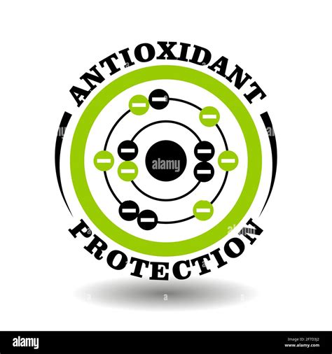 Grape Seed Extract and Antioxidant Protection