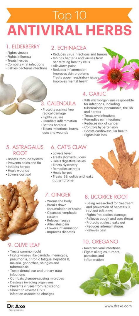 antiviral remedies