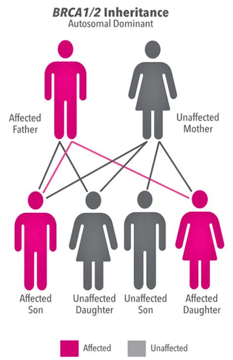 Applications of Bracker Gene Test