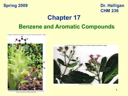 aromatics