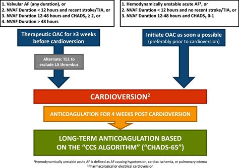 Atrial Fibrillation Cardioversion Treatment