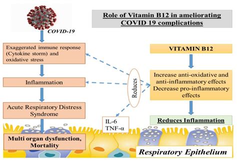 Complications of high B12 levels