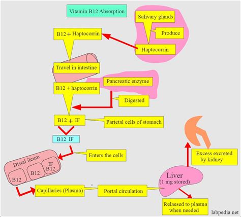 Next steps for high B12 levels
