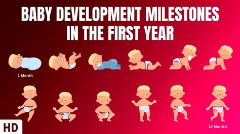 baby development at 28 weeks