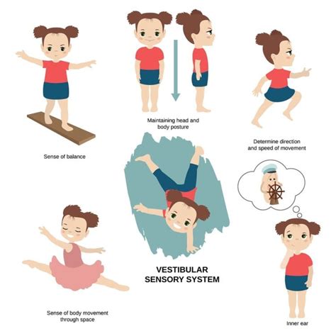 baby sensory development