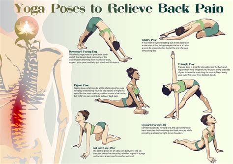 back exercises relief