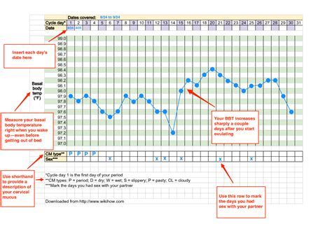 basal body temperature