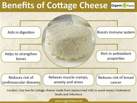 Benefits of Cottage Cheese
