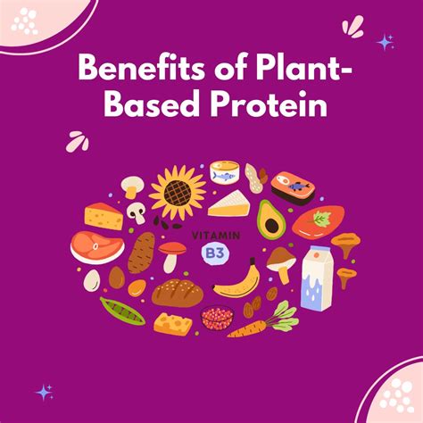 Benefits of Plant-Based Proteins