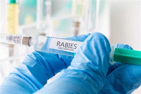 Benefits of Rabies Virus Vaccine