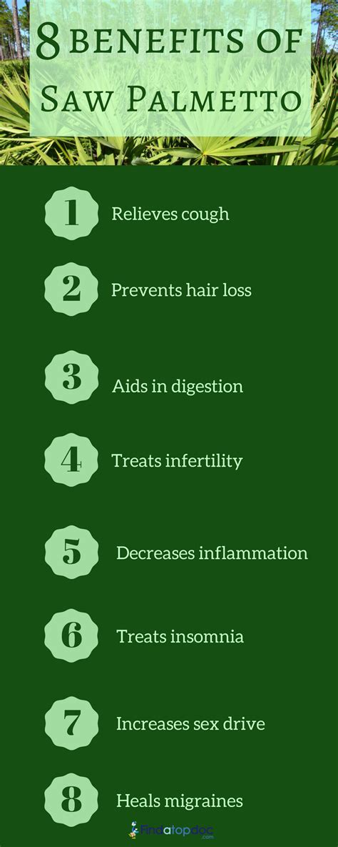 Benefits of Saw Palmetto