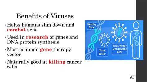 Benefits of Virus Updates