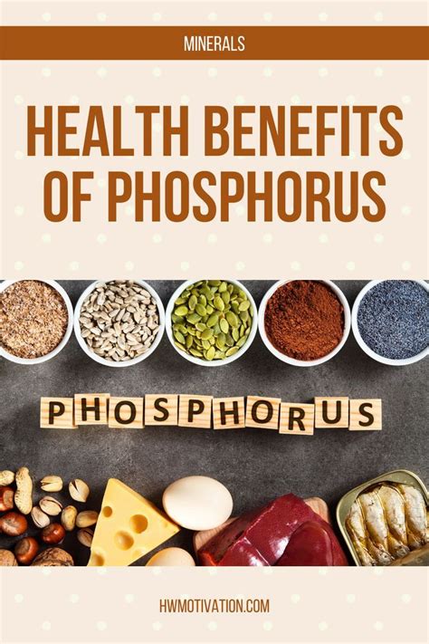 Benefits of High Phosphorus Foods