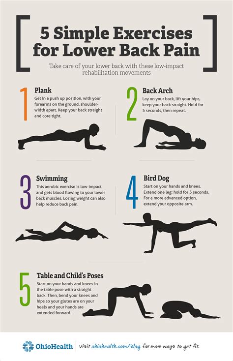 best exercises for lower back