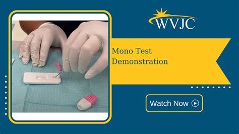 Best Practices for Mono Testing