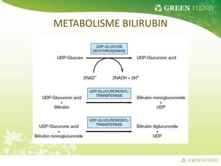 Bilirubin