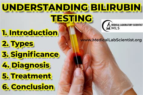 Bilirubin Test Applications