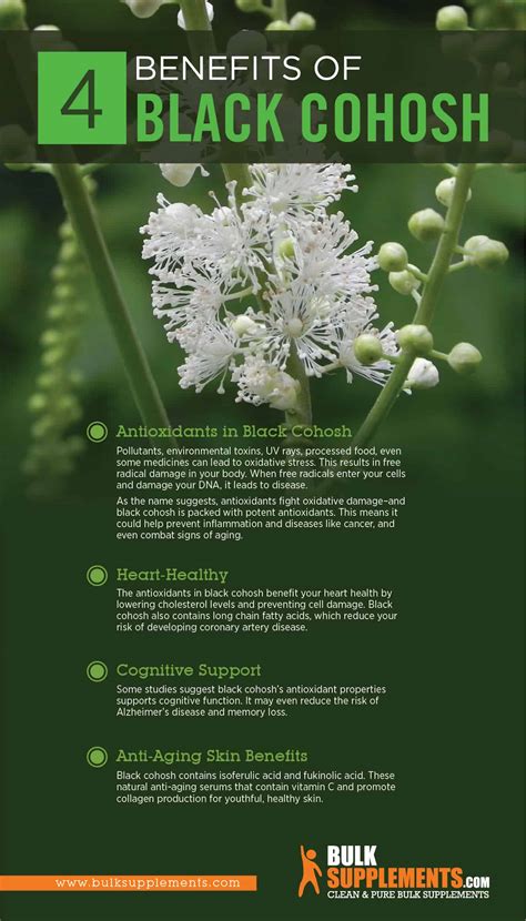 Benefits of Black Cohosh