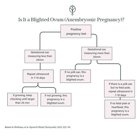 Blighted Ovum Treatment