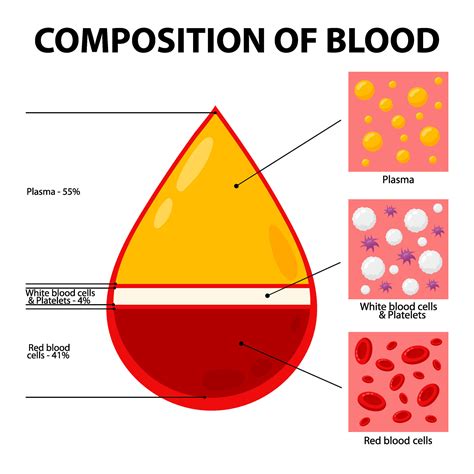 blood composition
