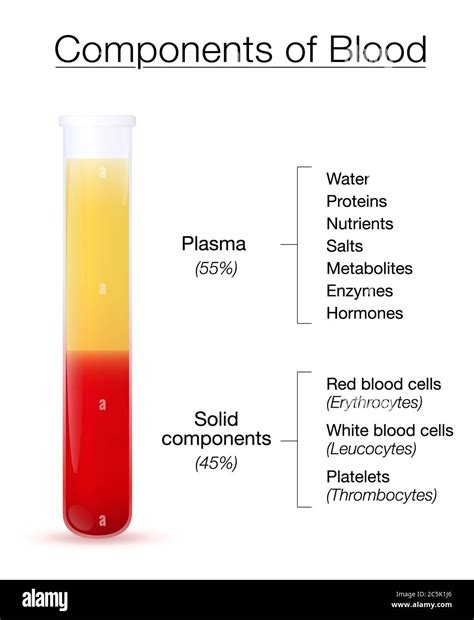 blood test components