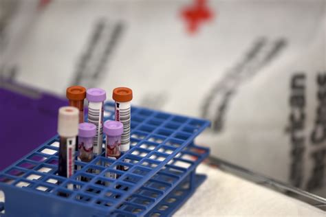 blood work
