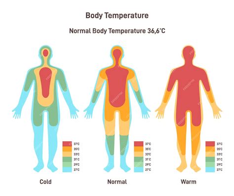 Body temperature measurement